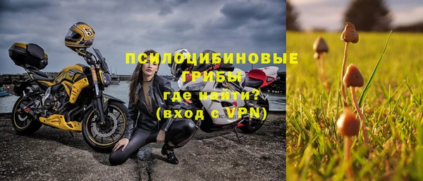 стафф Абинск