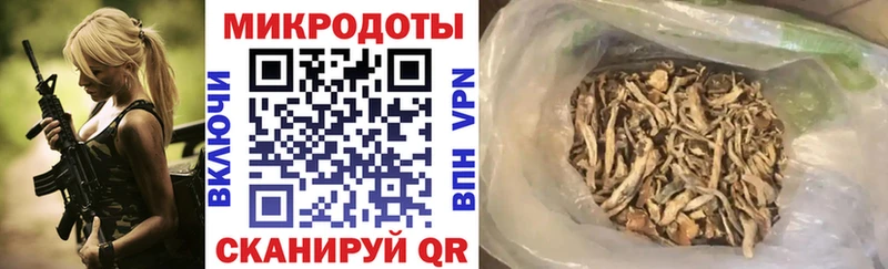 магазин продажи наркотиков  Катав-Ивановск  Псилоцибиновые грибы прущие грибы 